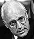 Dick Cheney, Vicepresidente